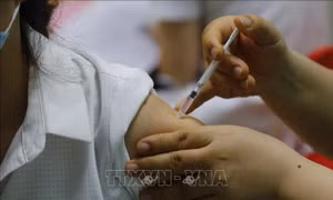 Bộ Y tế cấp mới, gia hạn giấy đăng ký lưu hành gần 500 thuốc, vaccine, nguyên liệu