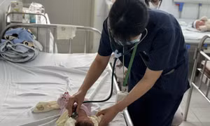 Hà Nội tiếp tục gia tăng dịch ho gà, sốt xuất huyết