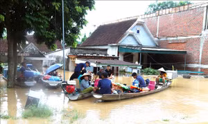 Thiên tai bất thường, các địa phương chủ động phòng dịch bệnh phát sinh