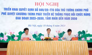 Vẫn thiếu kinh phí thực hiện phục hồi chức năng cho người khuyết tật