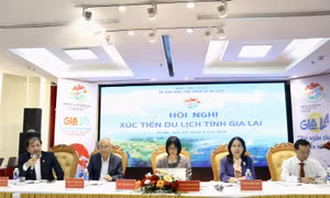 Gia Lai đẩy mạnh xúc tiến chuỗi du lịch xanh