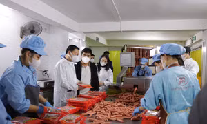 Tăng cường kiểm soát và truy xuất nguồn gốc nguyên liệu thực phẩm và thực phẩm