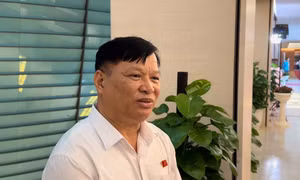 Đại biểu Quốc hội: Cần những giải pháp mạnh mẽ, quyết liệt để đạt mục tiêu tăng trưởng kinh tế