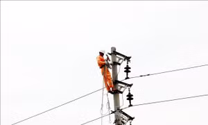 Khẩn trương đảm bảo an toàn hệ thống điện, cung cấp điện ổn định trong và sau bão số 3 