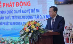 Hướng tới 100% tỉnh, thành phố có mô hình cung cấp dịch vụ bảo vệ trẻ em tích hợp