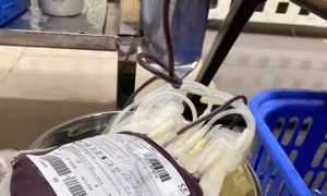 Khẩn trương hỗ trợ nguồn máu điều trị cho Cần Thơ 