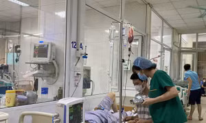 Người bệnh sốt xuất huyết dễ trở nặng trong giai đoạn nào?