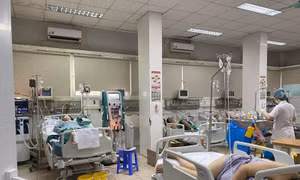 Chăm sóc người bệnh sốt xuất huyết tại nhà như thế nào để tránh biến chứng nặng?