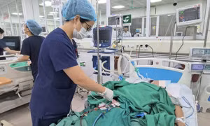 Bị tiểu đường, cụ bà mắc sốt xuất huyết nguy kịch