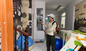 Hà Nội: Người dân tích cực phối hợp chống dịch sốt xuất huyết