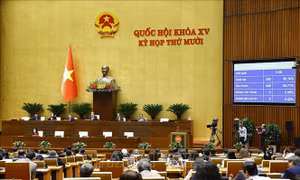 Biểu quyết thông qua Luật Dân số và Luật Phòng bệnh