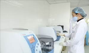 Hà Nội thêm 1 ca dương tính với virus SARS-CoV-2 là chuyên gia Ấn Độ