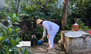 Hà Nội ghi nhận 403 ca mắc số xuất huyết trong tuần qua