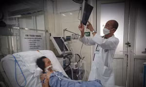 Cụ bà suy hô hấp, nhiễm trùng huyết vì bị sốt mò