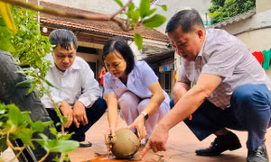 Phòng, chống sốt xuất huyết từ sớm, kiểm soát dịch từ cơ sở