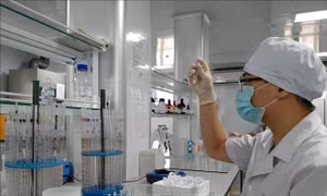 Sắp có vaccine COVID-19 nhập về, ưu tiên đối tượng nào tiêm trước?