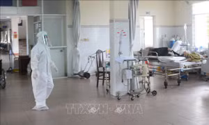 Tiểu ban Điều trị đề nghị BV Bạch Mai hỗ trợ điều trị bệnh nhân nặng