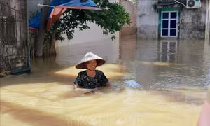 Bộ Y tế hướng dẫn người dân vùng lũ cách vệ sinh nguồn nước, phòng dịch bệnh