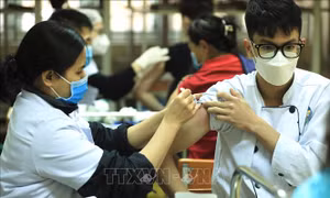 Việt Nam đã ghi nhận những biến thể phụ Omicron mới nào?