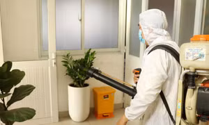 Hà Nội có 6 ổ dịch sốt xuất huyết