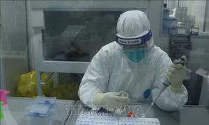 Bộ Y tế thông tin về đột biến gen trên chủng virus SARS-CoV-2 