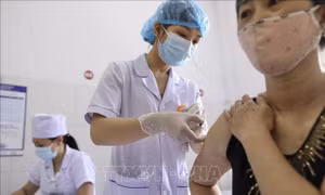 Hội đồng Đạo đức đã thông qua kết quả thử nghiệm vaccine Nano Covax 