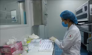  Hà Nội thêm 7 ca dương tính với SARS-CoV-2, liên quan đến chùm ca bệnh tại Times City