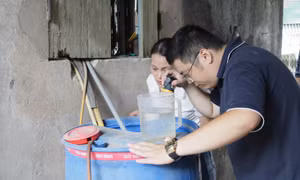 Hà Nội lo ngại sốt xuất huyết đang vào cao điểm dịch