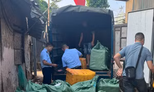 Hà Nội: Tạm giữ 800 kg trứng gà non, tràng gà đông lạnh không rõ nguồn gốc 
