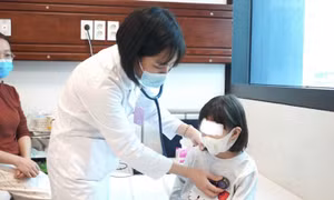 Hà Nội tập trung xử lý nhiều dịch bệnh, không để bùng phát trong dịp Tết