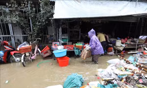 Các bệnh dễ phát sinh ở vùng lũ