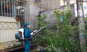 Số ca mắc sốt xuất huyết tăng gấp 4,9 lần năm ngoái, dịch chưa có dấu hiệu 'giảm nhiệt'