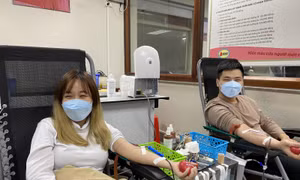 Người dân vượt mưa rét đến Lễ hội Xuân hồng hiến máu 