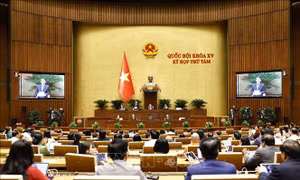 Mong muốn những chính sách hiệu quả hơn nữa về mua, thuê nhà ở xã hội