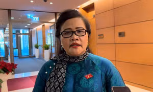 Đại biểu Quốc hội: Bệnh viện Việt Đức và Bệnh viện Bạch Mai cơ sở 2 chậm trễ đã gây lãng phí rất lớn
