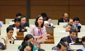 Quốc hội thảo luận về Luật Đầu tư công, Luật Quy hoạch, Luật Đầu tư (sửa đổi)