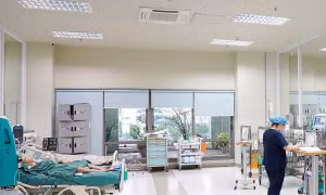 Cảnh báo bệnh não hoại tử cấp tính liên quan đến cúm A