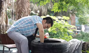 Hà Nội có thêm 19 ổ dịch sốt xuất huyết trong tuần qua
