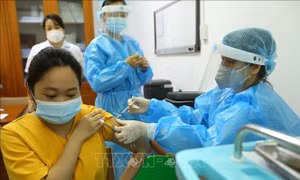 Hà Nội có 96,5% người trên 18 tuổi đã tiêm 1 mũi vaccine phòng COVID-19