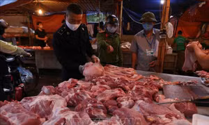 Tăng cường kiểm soát vi phạm đầu cơ, định giá với mặt hàng thịt lợn