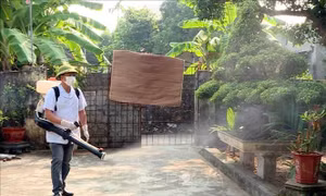 Cả nước đã có 35 ca tử vong do sốt xuất huyết
