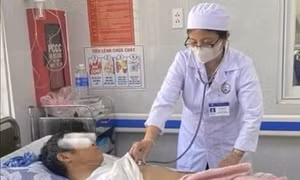 Điều tra, xử lý vụ 9 người ngộ độc sau khi ăn ve sầu ở Quảng Trị