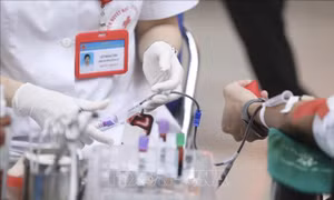 Vài suy nghĩ về hoạt động hiến máu tình nguyện