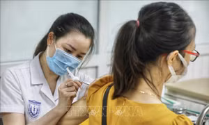 Bộ Y tế thông tin về tiến độ vaccine Nano Covax 