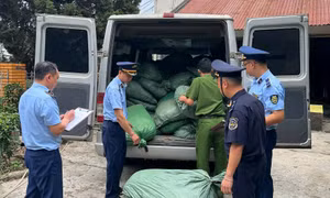 Cao Bằng: Phát hiện, thu giữ gần 1,4 tấn nguyên liệu thuốc lá không rõ nguồn gốc xuất xứ 