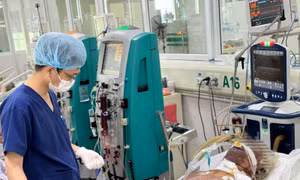 Sau sốt vài giờ, người đàn ông nổi tím khắp người, sốc vì nhiễm liên cầu lợn