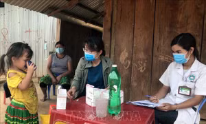 Có tới 50% ca bệnh bạch hầu không có triệu chứng