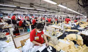 Tạo lực đẩy cho hàng hóa Việt vào thị trường Hoa Kỳ