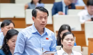 Vấn đề quản lý đối với di sản cần được làm rõ hơn trong Luật