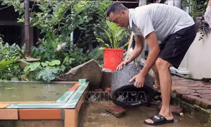 Dịch sốt xuất huyết đến chu kỳ bùng phát, Hà Nội ngăn chặn ngay từ đầu 